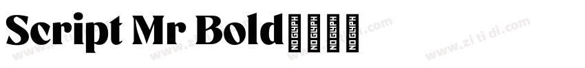 Script Mr Bold字体转换